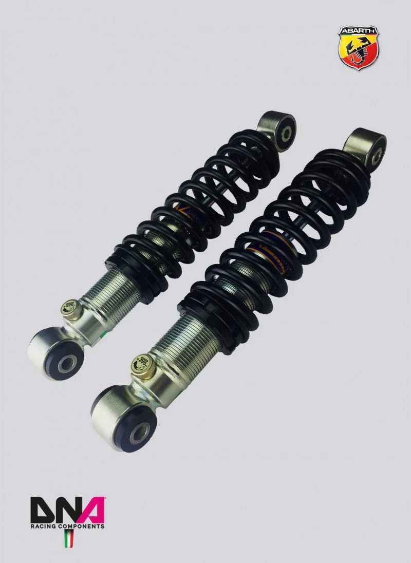 Abarth 500 EU 2007 DNA-GAZ Rear Coil-Over Shock Absorber Kit - Image 2