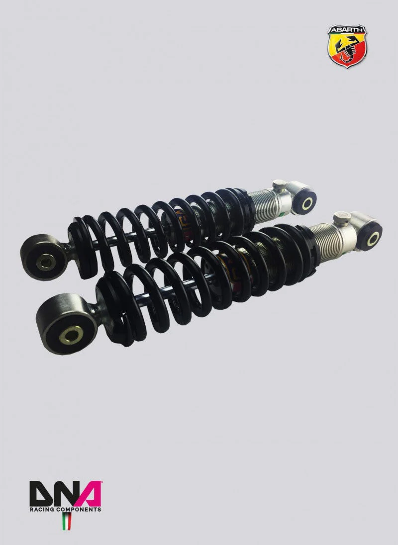 Abarth 500 EU 2007 DNA-GAZ Rear Coil-Over Shock Absorber Kit - Image 3
