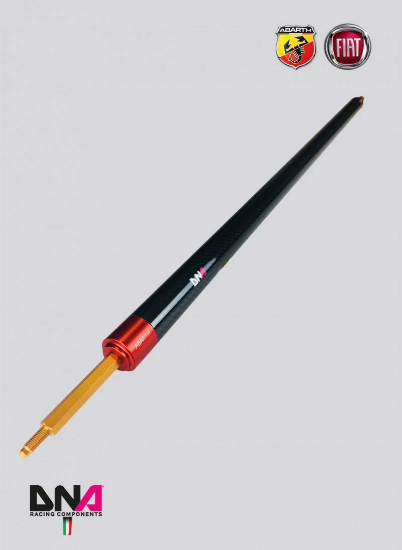 Abarth 500 EU DNA Racing Carbon Fibre Rear Strut Brace without Tie Rods Kit - Image 3